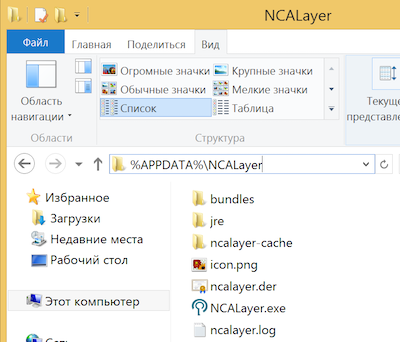 NCALAYER_HOME on Windows